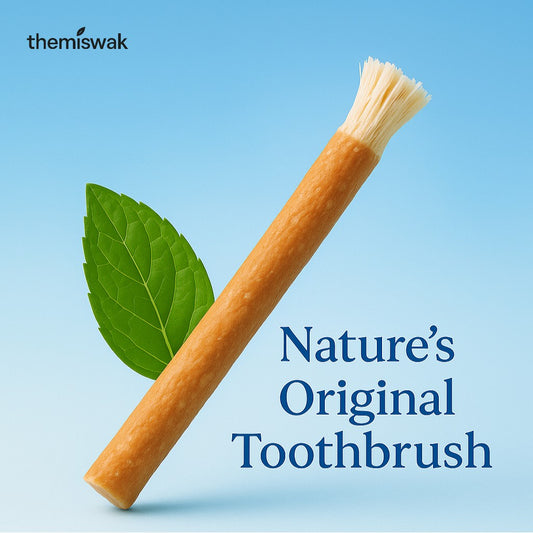 The Miswak Stick - Natural Teeth Cleaning