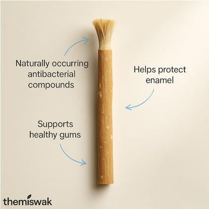 Miswak Toothbrush